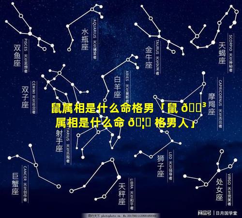 鼠属相是什么命格男「鼠 🌳 属相是什么命 🦉 格男人」